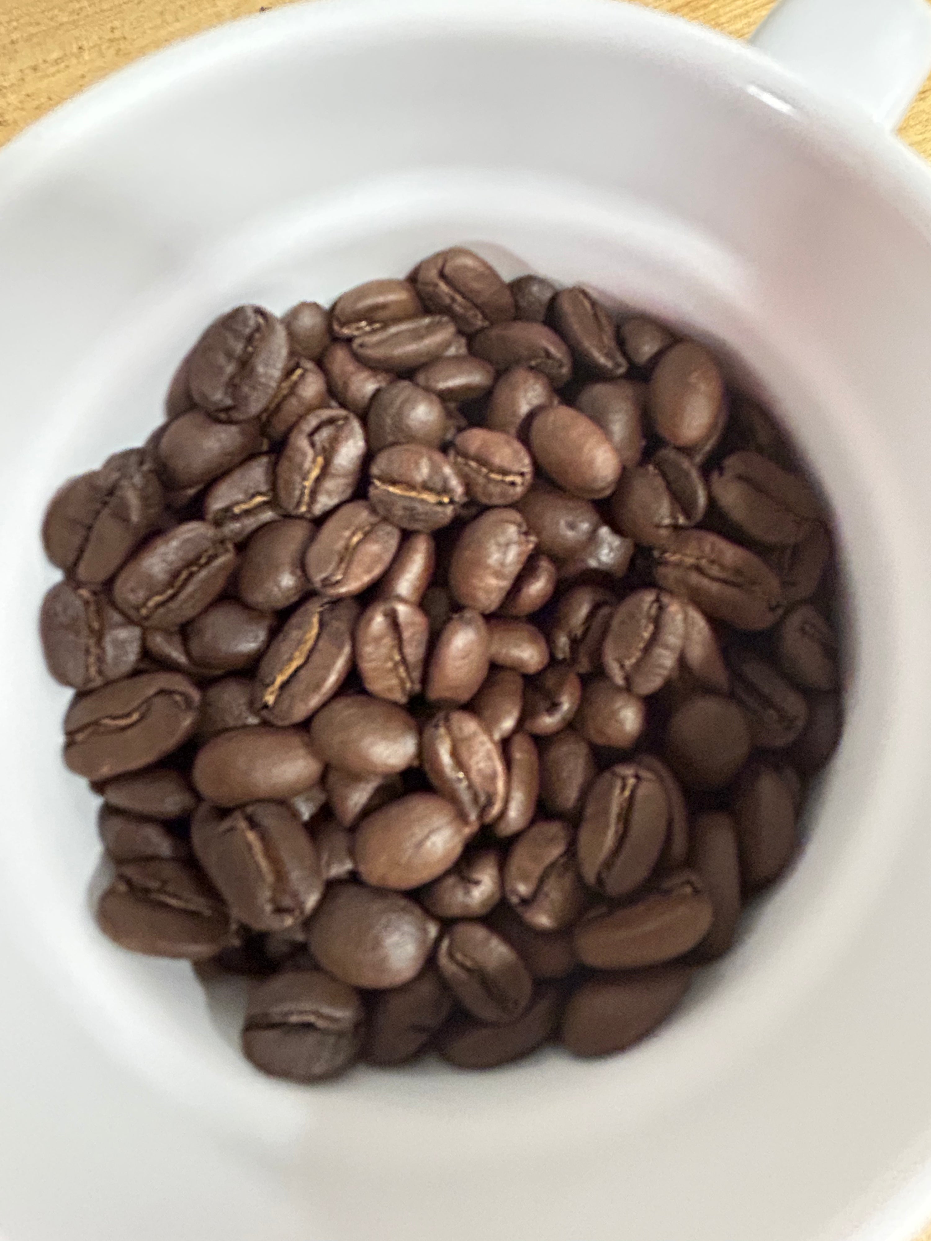 Scusami (City Roast)